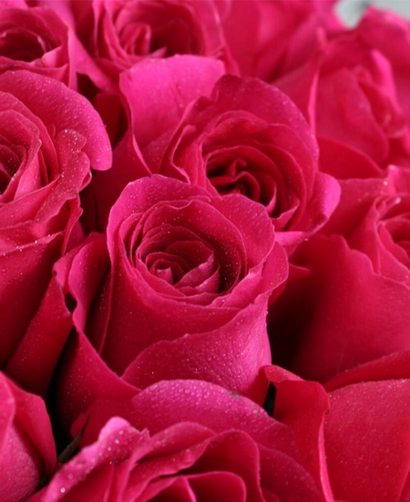 Букет из 101 розовой розы 70 см