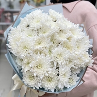 Букет из 9 белых кустовых хризантем