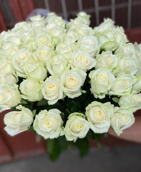 45 белых роз Эквадор 50 см