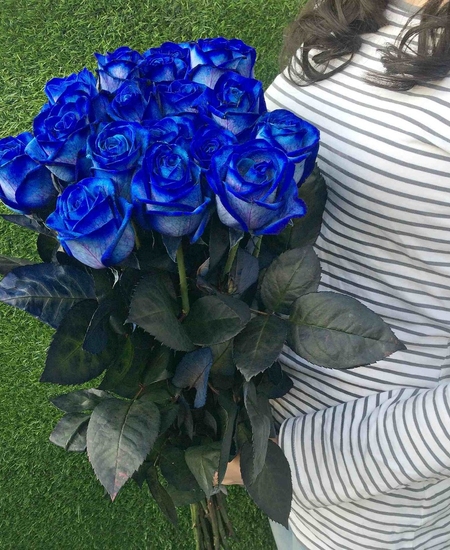Букет 17 синих роз