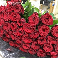 51 роза Россия (80 см)