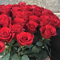Букет 51 роза (90 см)