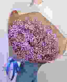 Букет из 11 фиолетовых гипсофил