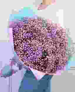 Букет из 15 фиолетовых гипсофил