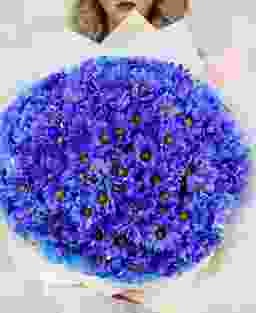 25 синих кустовых хризантем