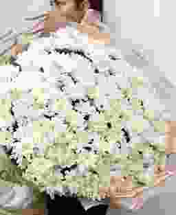 Букет из 35 белых кустовых хризантем
