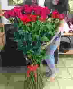 Букет 51 роза (120 см)