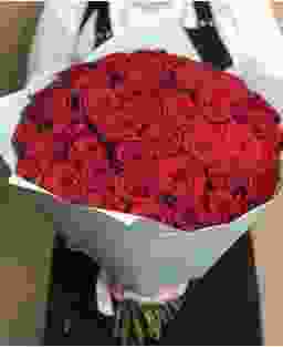 55 красных роз эквадор 40 см