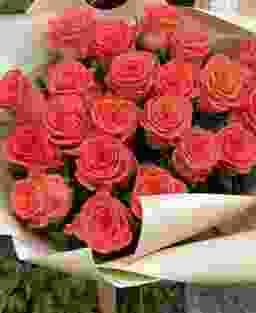 21 коралловая роза (50 см)