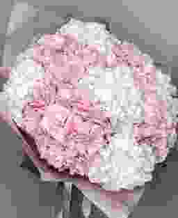 9 гортензий (белая, розовая)