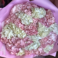 Букет из 25 гортензий (белая, розовая)