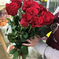 Розы 70 см