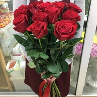 15 красных роз (70 см)