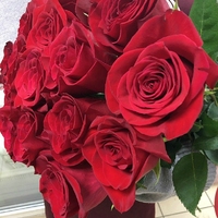 Розы 70 см