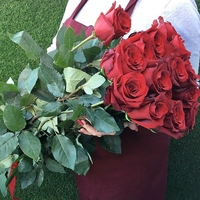 15 красных роз (80 см)