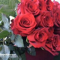 15 красных роз (80 см)
