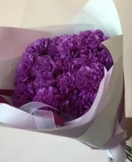 Букет из 25 фиолетовых гвоздик