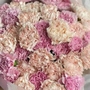 Букет из 35 розовых и кремовых гвоздик