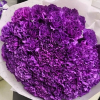 Букет из 51 фиолетовой гвоздики