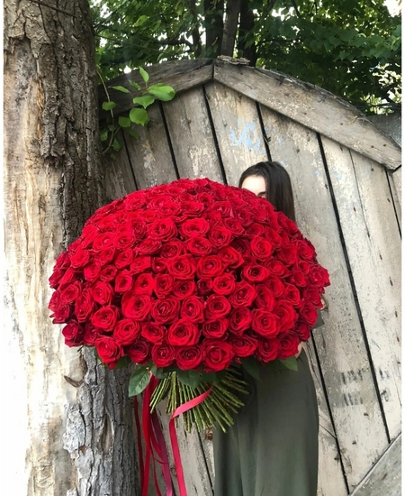 Букет из 151 красной розы 70 см