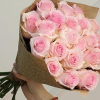 21 нежно-розовая роза (50 см)