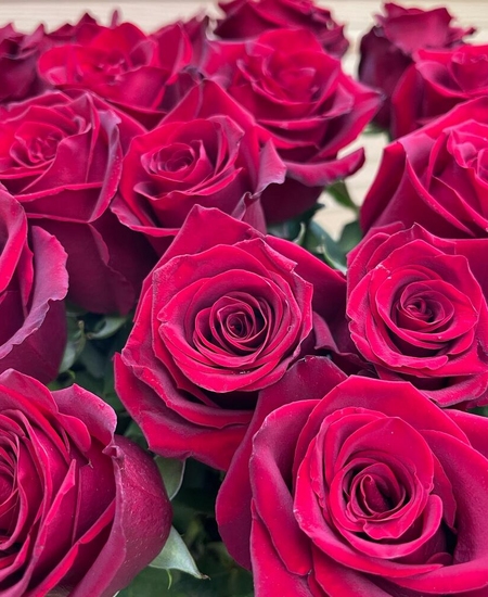 21 красная роза (80 см)