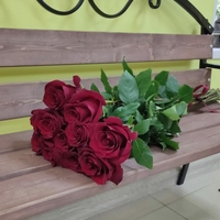 11 красных роз (90 см)