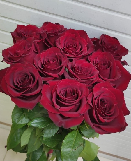 11 красных роз (90 см)