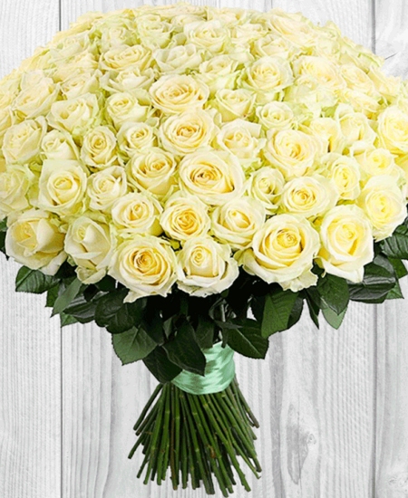Букет из 151 белой розы 70 см