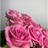 11 розовых роз Россия (70 см)