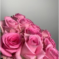 15 розовых роз Россия (70 см)