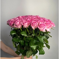 51 розовая роза Россия (70 см)
