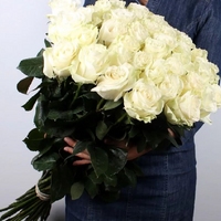 Букет 31 белая роза 80 см
