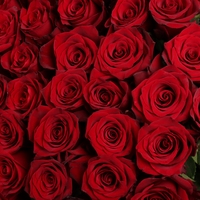 35 красных роз (90 см)