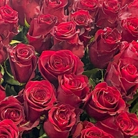 151 красная роза (90 см)