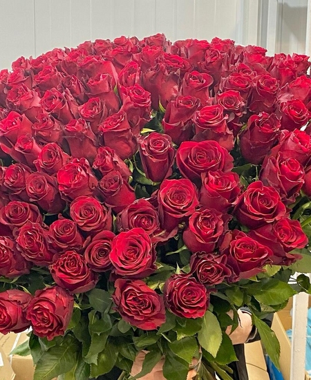 151 красная роза (90 см)