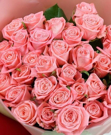 31 розовая роза 80 см
