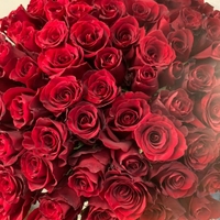 Букет из 101 красной розы 70 см
