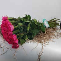 Букет из 35 розовых роз 70 см