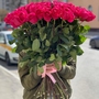 Букет из 51 розовой розы 70 см
