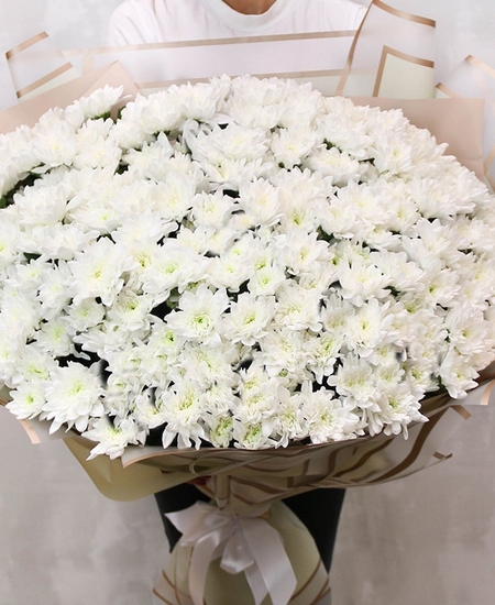 Букет из 35 белых кустовых хризантем