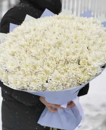 Букет из 51 белой кустовой хризантемы