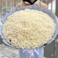 Букет из 101 белой кустовой хризантемы