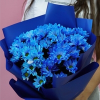 7 синих кустовых хризантем