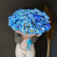 11 синих кустовых хризантем