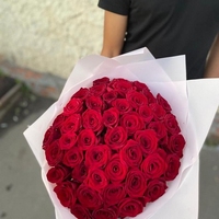 45 красных роз Эквадор 40 см