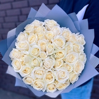 45 белых роз Эквадор 40 см