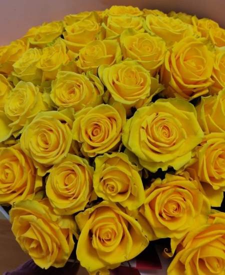 45 желтых роз Эквадор 40 см