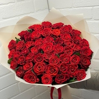 45 красных роз Эквадор 50 см