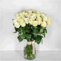 45 белых роз Эквадор 70 см